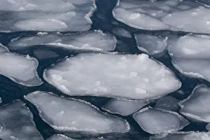 Images Dated 26th February 2016: Pancake Ice along Shiretoko Peninsula. Winter in Northern Hokkaido, Japan