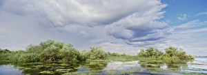 Images Dated 31st July 2012: Panorama of lakes and channels in the Danube Delta