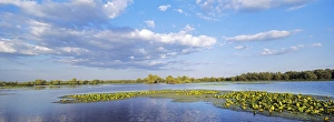 Biosphere Reserve Prints: Panorama of lakes and channels in the Danube Delta, romania