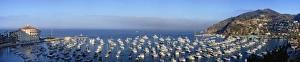 Catalina Prints: Panoramic view of Catalina Harbor, Catalina Island, California