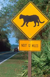 Images Dated 20th December 2005: Panther crossing sign in the Florida everglades. traffic sign, panther, cougar