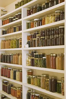 Janet Horton Prints: Pantry of preserved fruits and vegetables in canning jars. (PR)