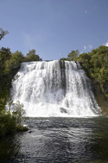 Images Dated 17th October 2009: Papakorito Falls, Te Urewera National Park, Eastland, North Island, New Zealand