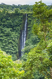 Images Dated 29th June 2011: Papapapai-Tai Falls, Upolo, Samoa, South Pacific