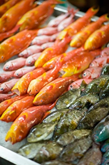 Images Dated 21st May 2006: Papeete Public Market, Tahiti Nui, Society Islands, French Polynesia, South Pacific