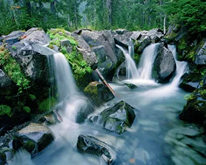 Paradise Creek flows down slopes of Mount Rainier, Washington, USA Paradise Creek flows down slopes of Mount Rainier, Washington, USA