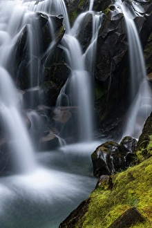 Images Dated 8th October 2023: Paradise River in autumn in Mount Rainier National Park, Washington State, USA