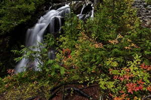 Images Dated 8th October 2023: Paradise River in autumn in Mount Rainier National Park, Washington State, USA