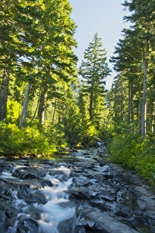 Perspective Prints: Paradise River, Mount Rainier National Park, Washington, USA