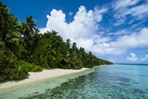 Paradise white sand beach in turquoise water in the Ant Atoll, Pohnpei, Micronesia