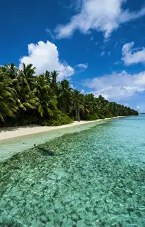 Images Dated 13th May 2011: Paradise white sand beach in turquoise water in the Ant Atoll, Pohnpei, Micronesia