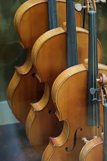 Instrument Prints: Paris, France. Antique cellos