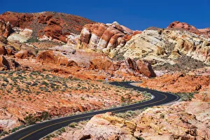 Highway Prints: The park road winding through colorful sandstone (hikers visible)
