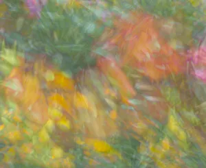 Abstract Prints: Pastel color abstract