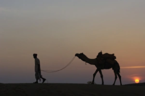 Images Dated 8th November 2006: Pastoralists and their One-humped Arabian or Dromedary camels (Camelus dromedaries)