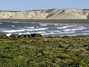 Gravel Prints: Patagonian coast