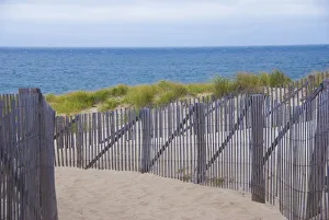 Path to the Beach