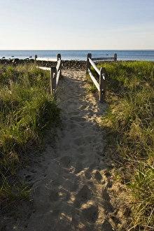 Images Dated 3rd December 2009: The path to the beach at the Center Hill Preserve in Plymouth, Massachusetts. Cape