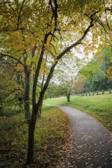 Great Smoky Mountain Prints: Path around the lake, Peaks Of Otter, Blue Ridge Parkway, Smoky Mountains, USA