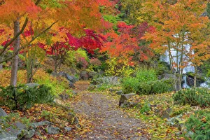 Pathway leads to park bench and Cottonwood Falls in autumn at Japanese Gardens in Nelson Pathway leads to park bench and Cottonwood Falls in autumn at Japanese Gardens in Nelson