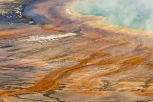 Images Dated 12th September 2020: Pattern in bacterial mat of Grand Prismatic spring, Midway Geyser Basin