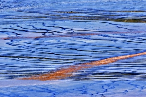 Images Dated 1st September 2005: Pattern in bacterial mat around perimeter of Grand Prismatic Spring, Midway Geyser Basin