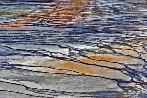 Yellow Stone Prints: Pattern in bacterial mat around perimeter of Grand Prismatic Spring, Midway Geyser Basin