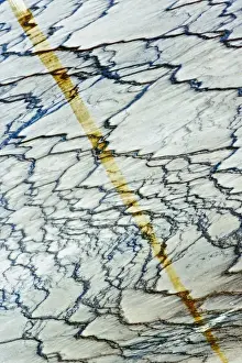 Images Dated 1st September 2005: Pattern in bacterial mat around perimeter of Grand Prismatic Spring, Midway Geyser Basin