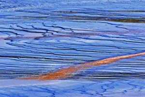 Images Dated 1st September 2005: Pattern in bacterial mat around perimeter of Grand Prismatic Spring, Midway Geyser Basin