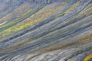 Prints of Pattern on mountain slope, Svalbard, Norway Images Dated 2019 June: Pattern on mountain slope, Svalbard, Norway