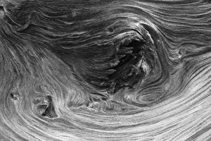 Pattern in wood of Bristlecone pine, White Mountains, Inyo National Forest, California