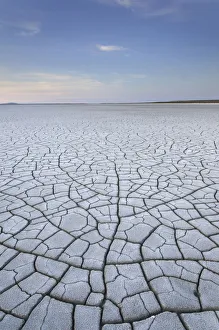 Patterns of cracked mud on dry lakebed of Harney Lake, Malheur National Wildlife Refuge