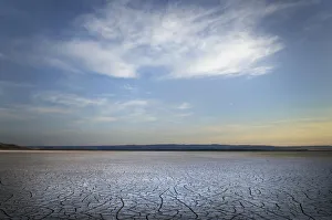 Barren Prints: Patterns of cracked mud on dry lakebed of Harney Lake, Malheur National Wildlife Refuge