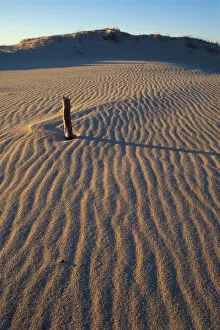 Images Dated 17th March 2006: Patterns in the sand at Parker NWR, Plum Island, Massachusetts