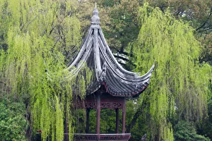 Willow Prints: Pavilion with willow trees in Xiaolianzhuang Resort