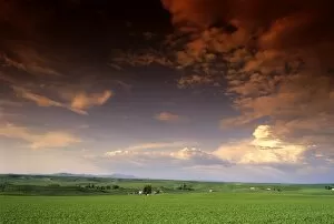 Pea fields and clouds in North Idaho
