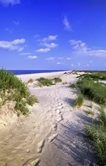 Pea Island beach, Outer Banks, North Carolina, USA