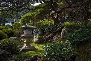 Relaxation Prints: A peaceful garden with Pagoda and old tree
