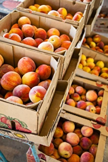 Peach Prints: Peaches on display in Farmers Market