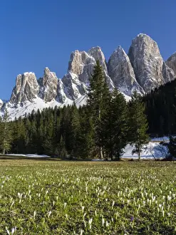 Images Dated 27th April 2012: The peaks of the Geisler mountain range in valley Villnoess after a snow strom in spring