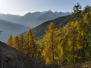 Peaks of Presanella mountain range above Val Rendena, seen from Brenta mountain range