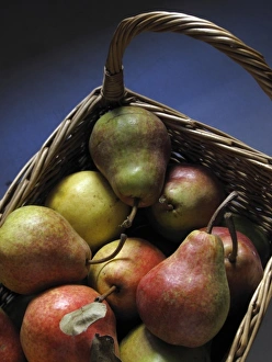 Handle Prints: pears in a basket