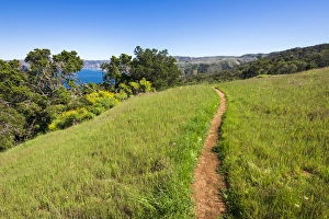 Images Dated 24th March 2016: Pelican Bay trail, Santa Cruz Island, Channel Islands National Park, California USA