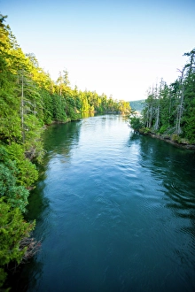 Salish Sea Prints: Pender Canal, Pender Island, British Columbia, Gulf Islands, Canada