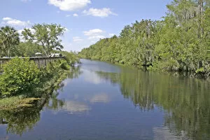 Images Dated 17th April 2008: People alligator watching, Turner River. Big Cypress National Preserve, Florida
