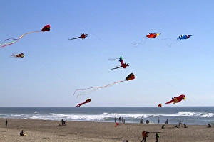 Images Dated 18th July 2010: People flying kites along the D River in Lincoln City, Oregon, USA
