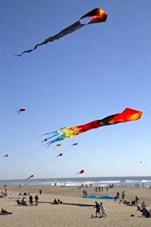 Recreation Prints: People flying kites along the D River in Lincoln City, Oregon, USA