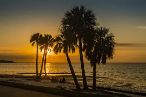 Watching Prints: People sitting on the beach watching the sunrise over Old Tampa Bay