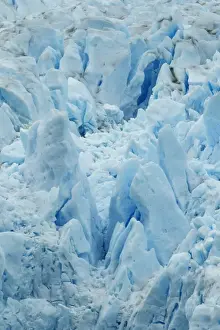 Argentina Prints: Perito Moreno Glacier, Los Glaciares National Park, in southwest Santa Cruz Province