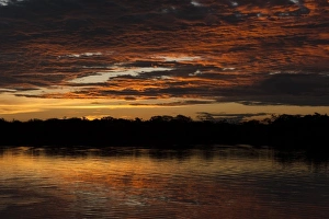 Rupununi Prints: Permanent ponds in Savannah Rupununi, Guyana
